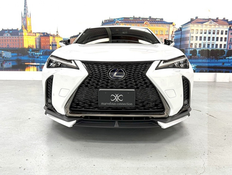 レクサス(US) その他 UX 　250h Fスポーツ 4WD　TRDエアロ/SR/赤革/禁煙車/HUD 中古車