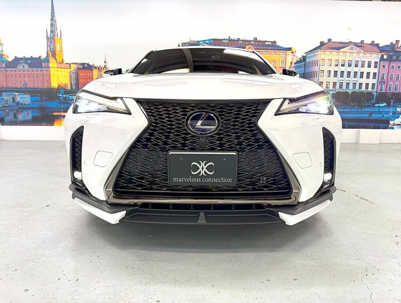 レクサス(US) その他 UX 　250h Fスポーツ 4WD　TRDエアロ/SR/赤革/禁煙車/HUD 中古車