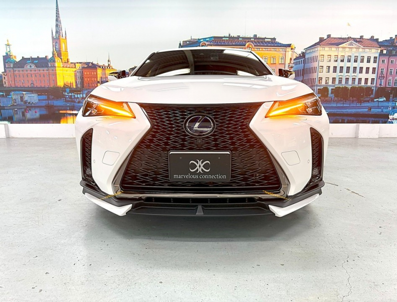 レクサス(US) その他 UX 　250h Fスポーツ 4WD　TRDエアロ/SR/赤革/禁煙車/HUD 中古車