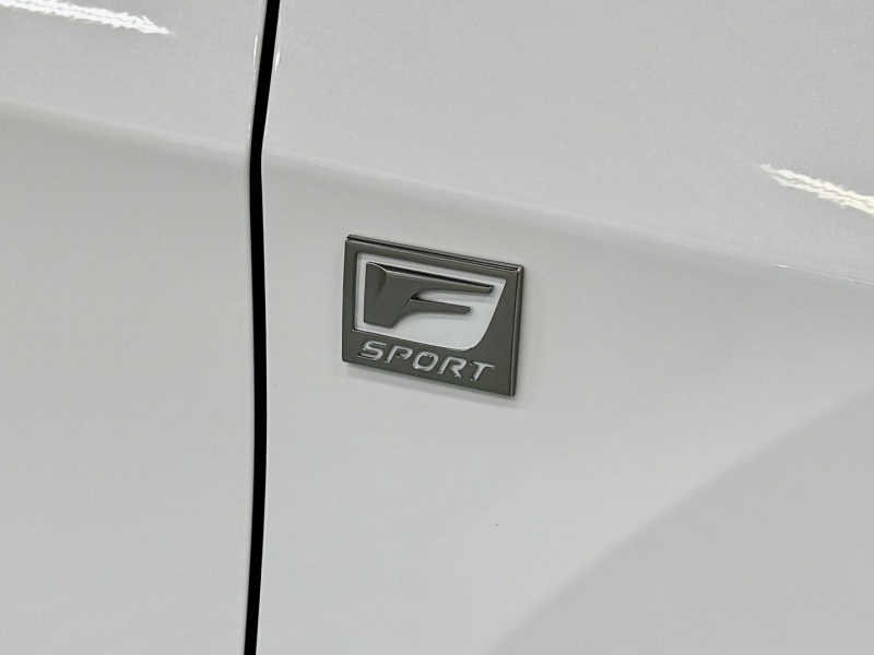 レクサス(US) RX 450h Fスポーツ 4WD　SR/マクレビ/本革/3眼LED/HUD/後期型/禁煙車/スポーツマフラー 中古車