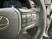 レクサス(US) その他 UX 　250h Fスポーツ 4WD　TRDエアロ/SR/赤革/禁煙車/HUD 中古車