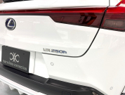 レクサス(US) その他 UX 　250h Fスポーツ 4WD　TRDエアロ/SR/赤革/禁煙車/HUD 中古車