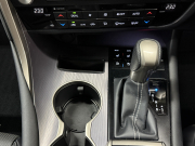 レクサス(US) RX 450h Fスポーツ 4WD　SR/マクレビ/本革/3眼LED/HUD/後期型/禁煙車/スポーツマフラー 中古車